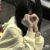 白梓藝