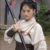 杨排风