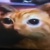 甲乙