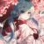 江黎溪（作者）