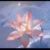 江铃