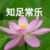 許母