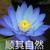 江父