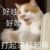 万能角色