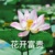 教导主任