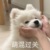 作者