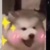 系统