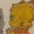 西尼斯