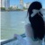 小馬