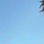 群众1