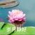 溫母