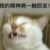 發(fā)瘋回憶