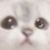作者