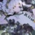 帕洛斯