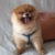 天妈