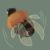 小bee