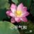 王林（導(dǎo)演）