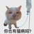 人贩子