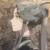 靈文