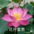孟父