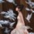 王后·琳