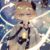 金（创世）