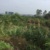 跳进地理书的旅行