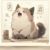 毛团子