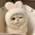 小猫