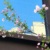 家長3