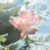 吕妈妈