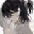 csy（作者）