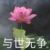 班主任