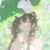 梦涵希