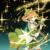 葉星瀾