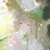 同学