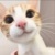 角色