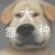 天帝没头像