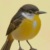 传音鸟