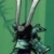 武士队长