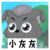小灰灰