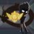星冕
