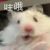 鼠鼠
