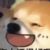 狗豪