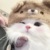 作者