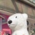 記者