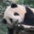 系统