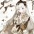 冉青雪