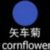 矢车菊