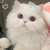 曙光落